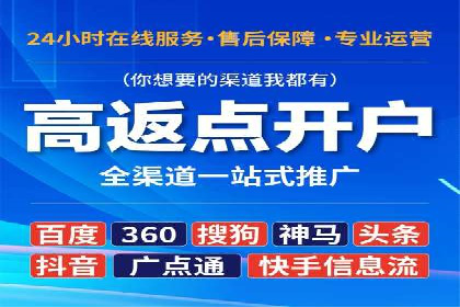 企业SEM服务实战案例解析